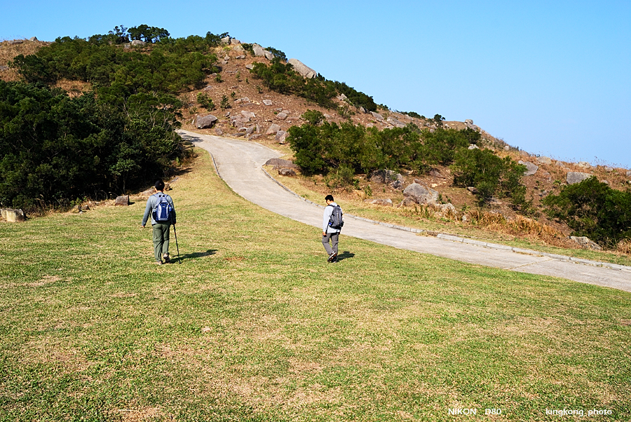 DSC_3108.jpg - Neddle Hill, Grassy Hill�w�s, ��