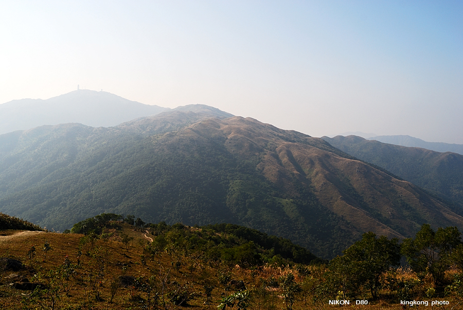 DSC_3136.jpg - Neddle Hill, Grassy Hill�w�s, ��
