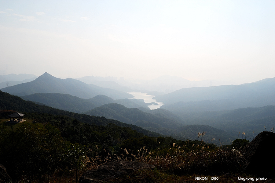 DSC_3137.jpg - Neddle Hill, Grassy Hill�w�s, ��