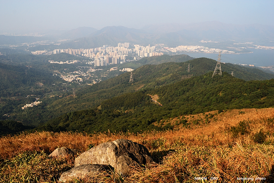 DSC_3166.jpg - Neddle Hill, Grassy Hill�w�s, ��