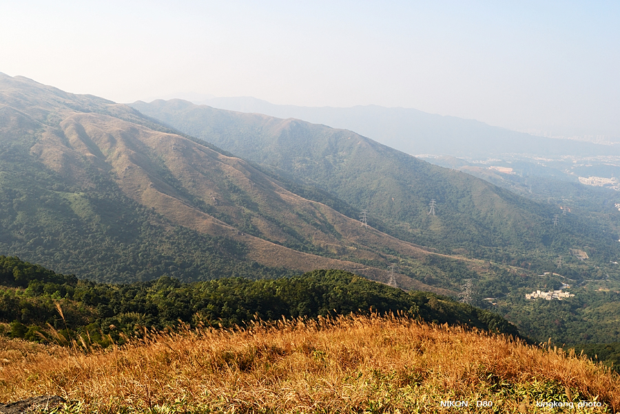 DSC_3183.jpg - Neddle Hill, Grassy Hill�w�s, ��