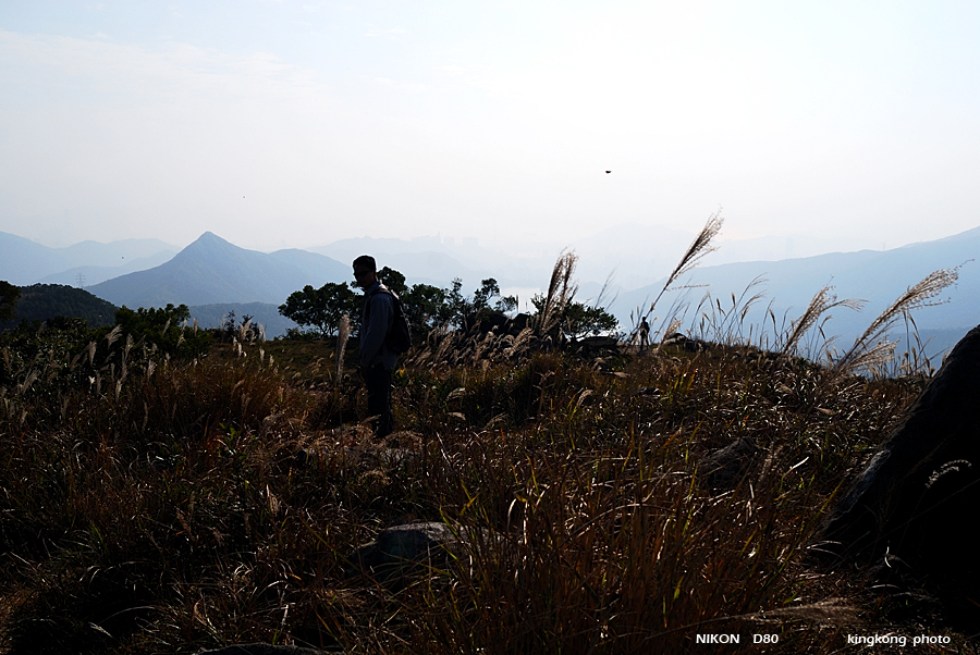DSC_3184.jpg - Neddle Hill, Grassy Hill�w�s, ��