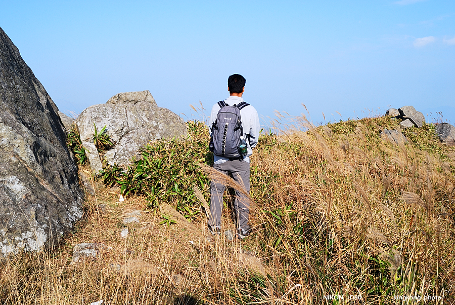 DSC_3188.jpg - Neddle Hill, Grassy Hill�w�s, ��