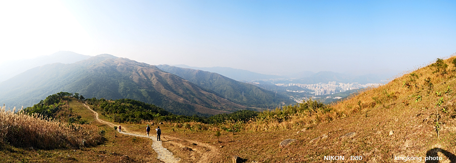 DSC_3195.jpg - Neddle Hill, Grassy Hill�w�s, ��