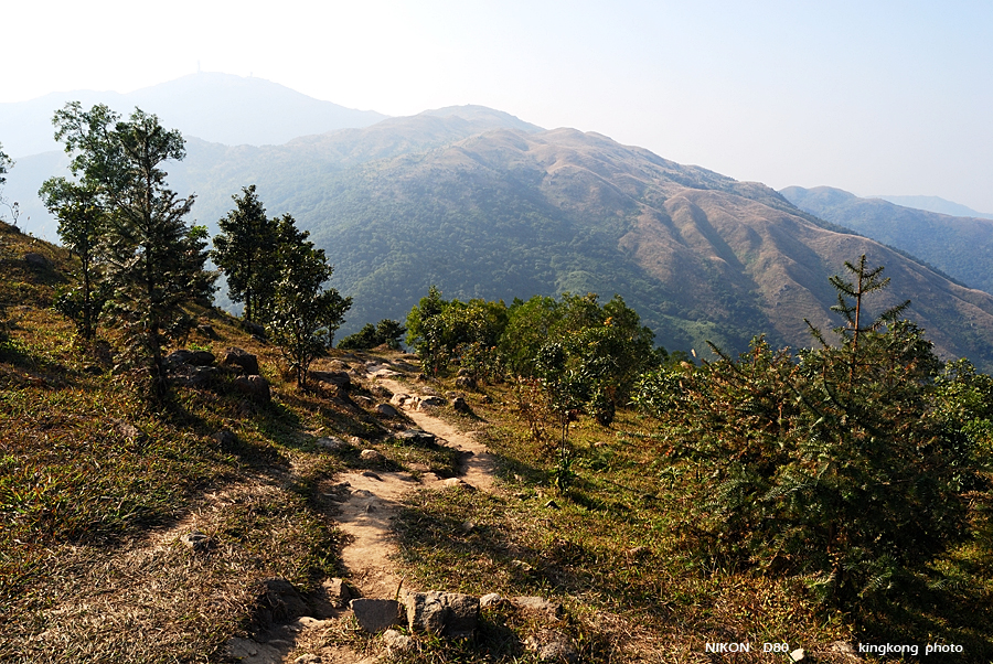 DSC_3205.jpg - Neddle Hill, Grassy Hill�w�s, ��