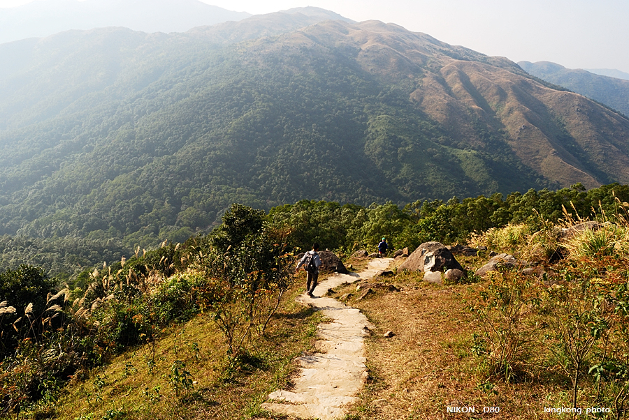 DSC_3206.jpg - Neddle Hill, Grassy Hill�w�s, ��