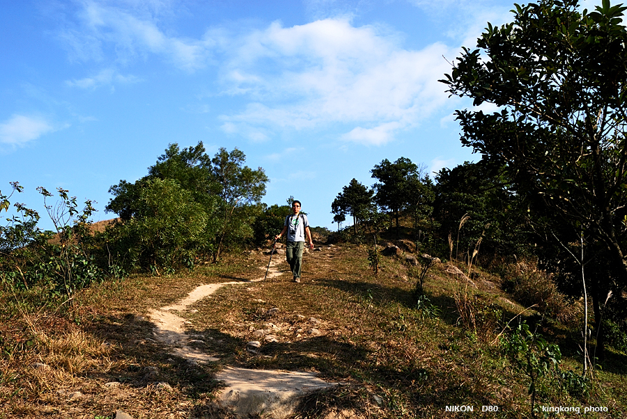 DSC_3209.jpg - Neddle Hill, Grassy Hill�w�s, ��