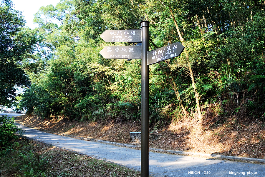 DSC_3234.jpg - Neddle Hill, Grassy Hill�w�s, ��