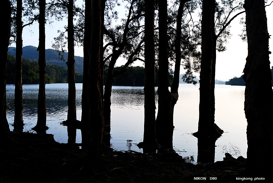 DSC_3283.jpg - Neddle Hill, Grassy Hill�w�s, ��