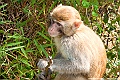 IMG_6994