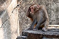 IMG_6999