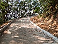 IMG_7018