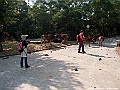 IMG_7020