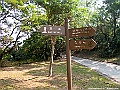 IMG_7021