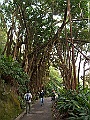 IMG_8072