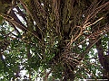 IMG_8075