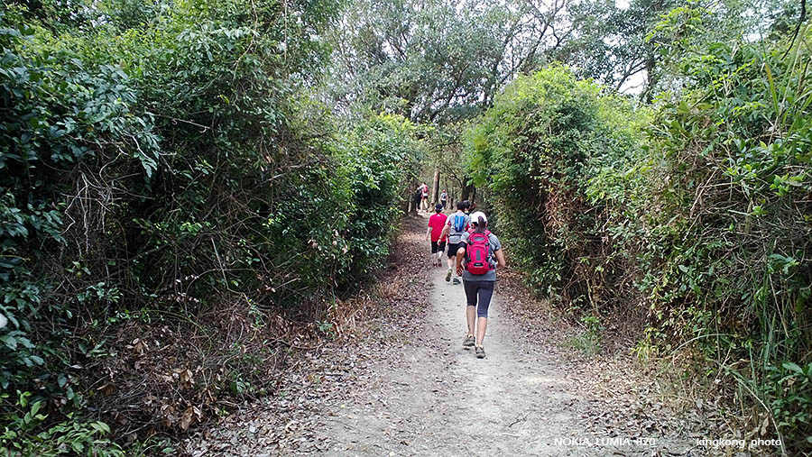 WP_20130317_027.jpg