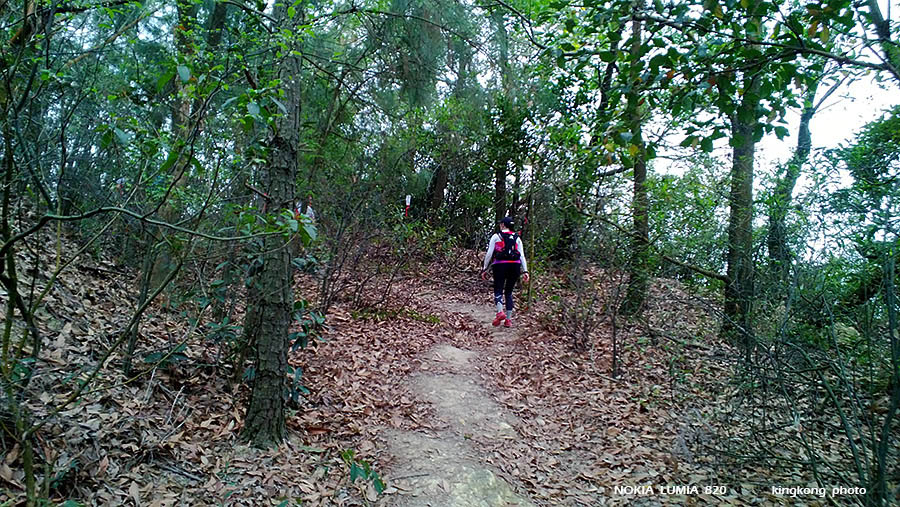 WP_20130317_031.jpg