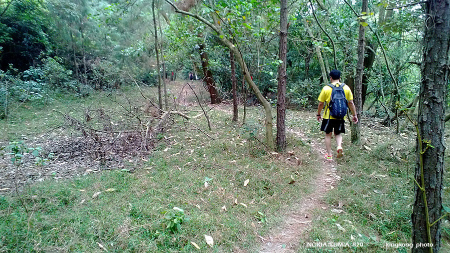 WP_20130317_036.jpg