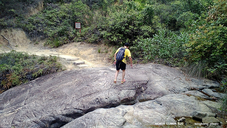 WP_20130317_037.jpg