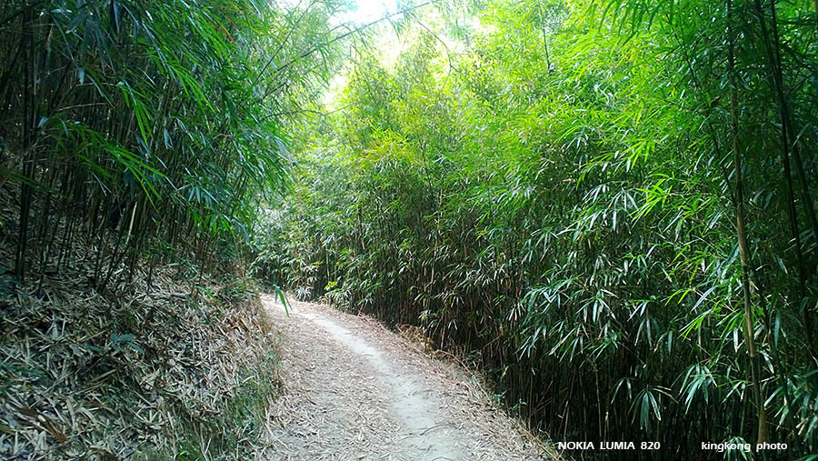 WP_20130317_038.jpg