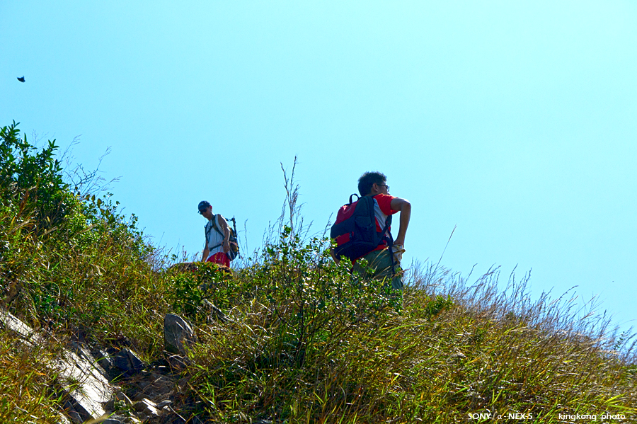 _DSC2708.jpg - SONY DSC