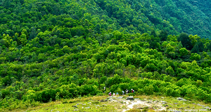 _DSC2770.jpg - SONY DSC