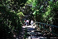 DSC_2406