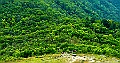 _DSC2770