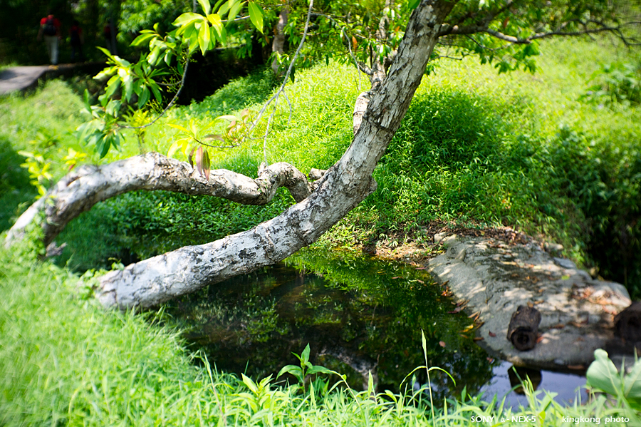 _DSC8791.jpg - Taken at Latitude/Longitude:22.534469/114.200900. 0.16 km North-East Wo Hang Tai Long  Hong Kong   (Map link) 