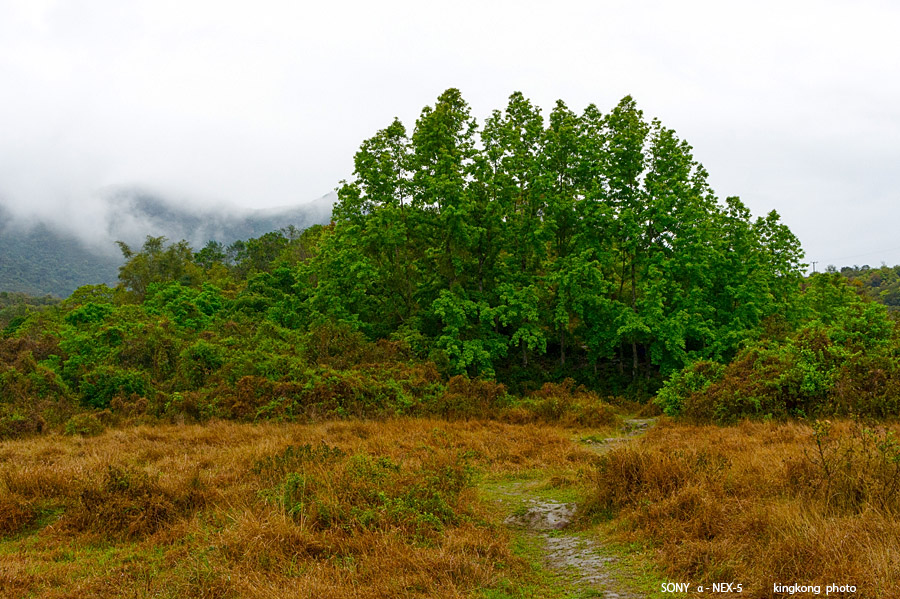 _DSC7606.jpg - SONY DSC