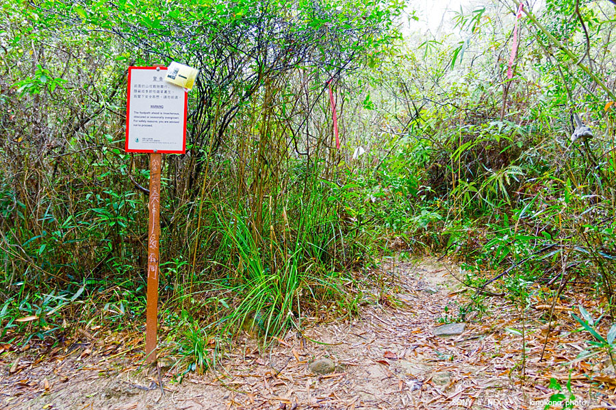 _DSC7610.jpg - Taken at Latitude/Longitude:22.504055/114.271658.  km       (Map link) 
