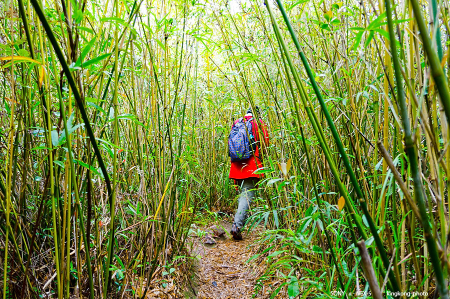 _DSC7617.jpg - Taken at Latitude/Longitude:22.505084/114.284143.  km       (Map link) 