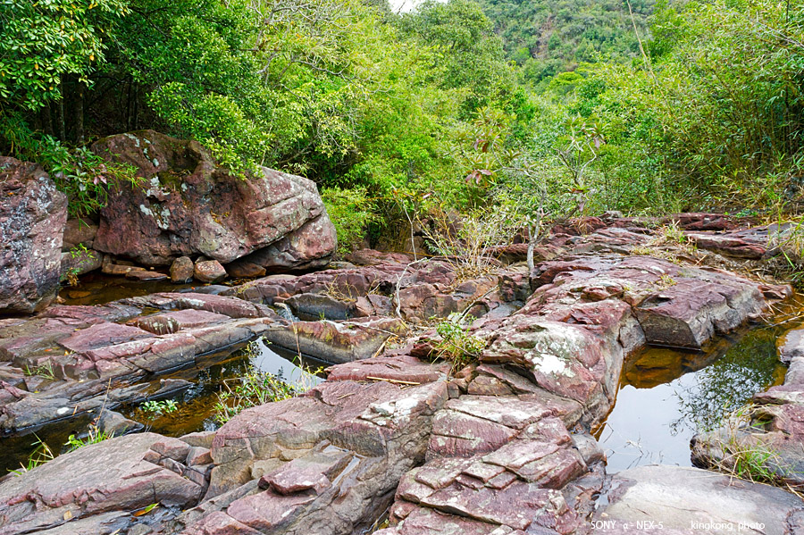 _DSC7618.jpg - SONY DSC