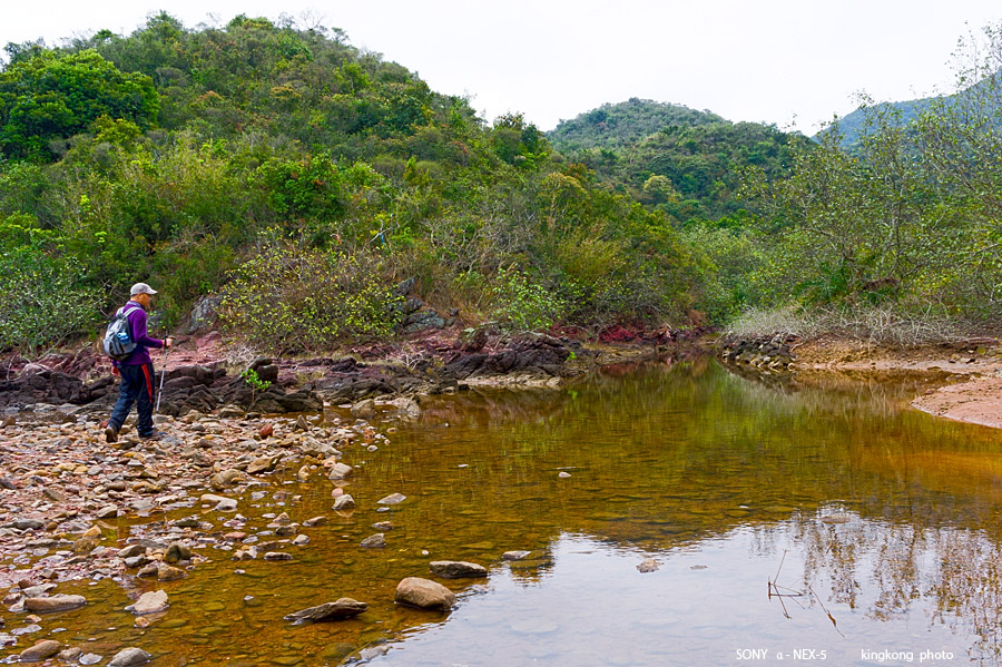 _DSC7647.jpg - SONY DSC