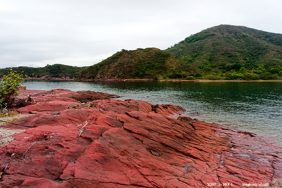 _DSC7680.jpg - SONY DSC