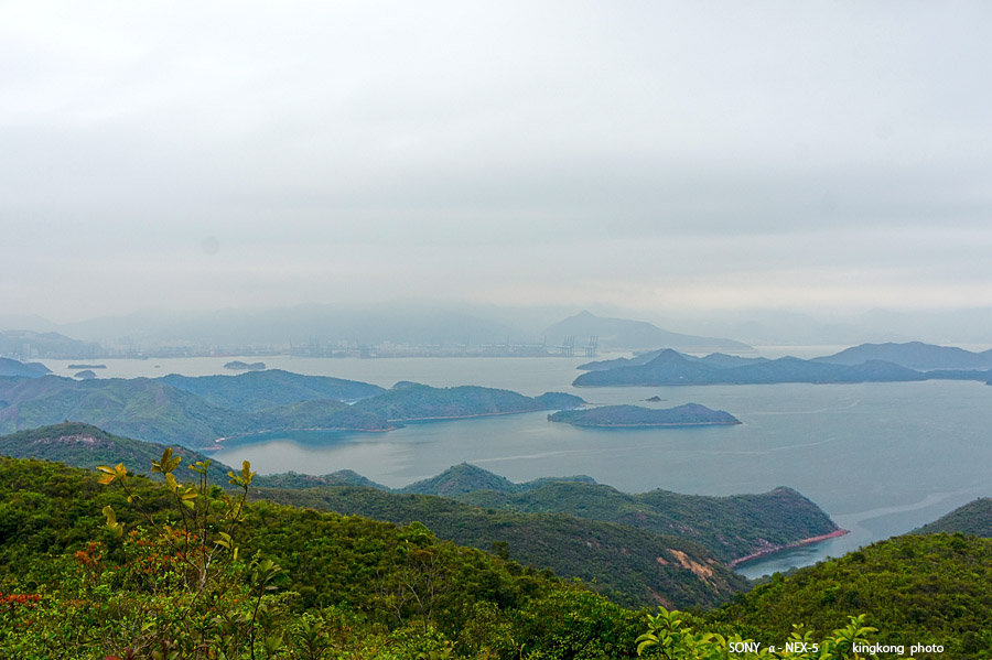 _DSC7724.jpg - SONY DSC