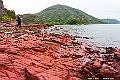_DSC7674