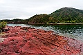 _DSC7680