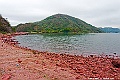 _DSC7711