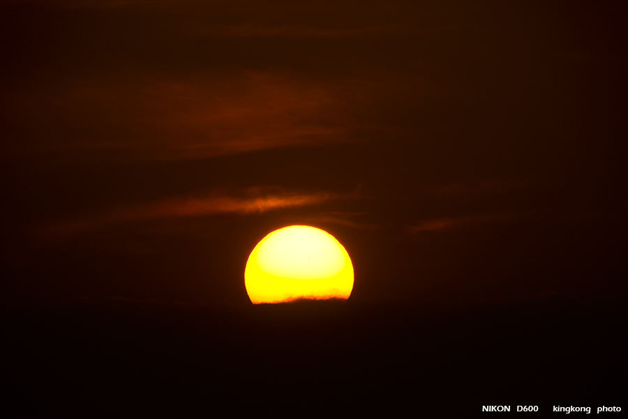 DSC_3464.jpg