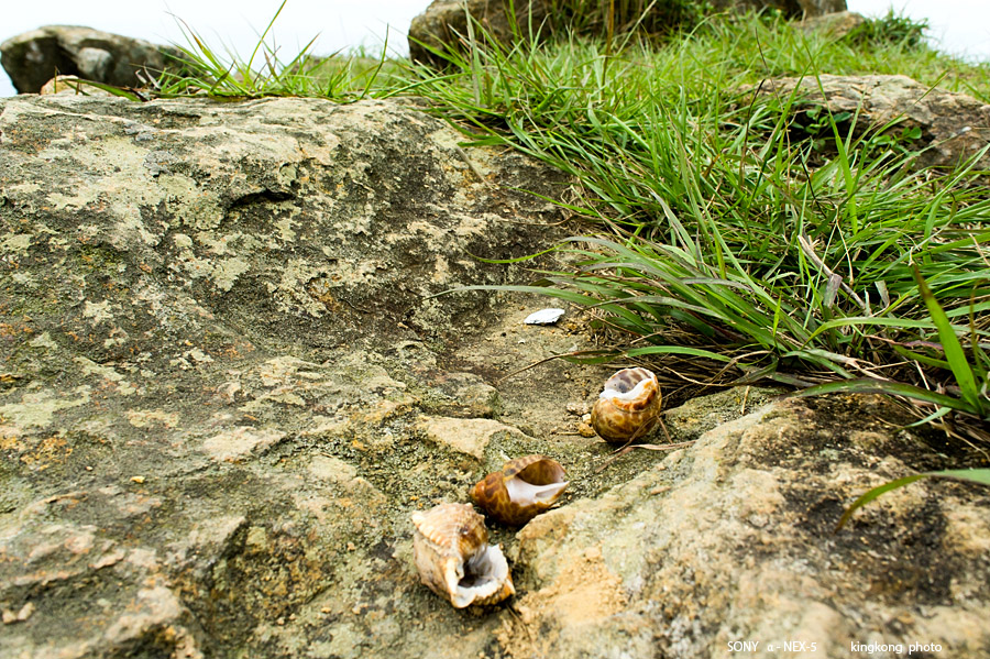_DSC5936.jpg - SONY DSC