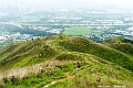 _DSC5875