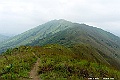_DSC5887