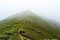 _DSC5942