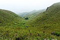 _DSC5949