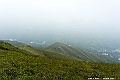 _DSC5950