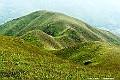 _DSC5955
