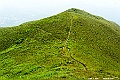 _DSC5956