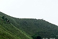 _DSC5962